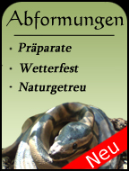 Abformungen kaufen